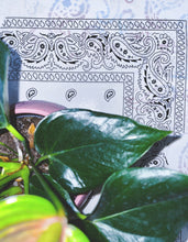 Carica l&#39;immagine nel visualizzatore di Gallery, Tavolino bandana